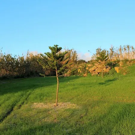 Holiday home Quinta Da Morgadia